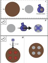 Rapid Detection of Proliferative Bacteria by Electrical Stimulation