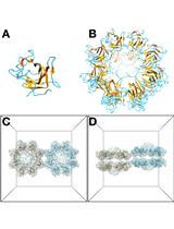 Protocols for Processing and Interpreting cryoEM Data Using Bsoft: A Case Study of the Retinal Adhesion Protein, Retinoschisin