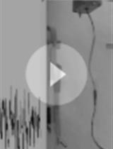 Induction of Temporal Lobe Epilepsy in Mice with Pilocarpine