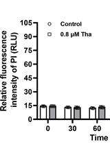 Contemporaneous Measurement of Outer and Inner Membrane Permeability in Gram-negative Bacteria