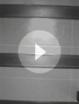 延迟交替任务用于研究大鼠空间工作记忆和长期记忆