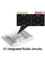 Single-cell qPCR Assay with Massively Parallel Microfluidic System