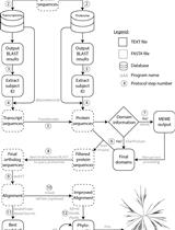 High-resolution and Deep Phylogenetic Reconstruction of Ancestral  States from Large Transcriptomic Data Sets