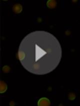 Self-organization Assay for Min Proteins of <em>Escherichia coli</em> in Micro-droplets Covered with Lipids