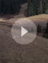 Accelerated Snowmelt Protocol to Simulate Climate Change Induced Impacts on Snowpack Dependent Ecosystems
