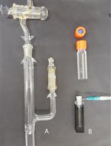 黄嘌呤/黄嘌呤氧化酶法测定蛋白质中的黄素电位