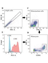 Flow Cytometry Measurement of Glucocerebrosidase Activity in Human Monocytes