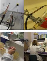 Conjugation Protocol Optimised for Roseburia inulinivorans and Eubacterium rectale