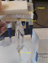 Quantitative Determination of Ca2+-binding to Ca2+-sensor Proteins by Isothermal Titration Calorimetry