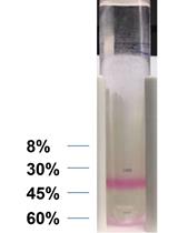 Isolation and Characterization of Exosomes from Mouse Feces