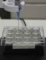 MAMP-triggered Medium Alkalinization of Plant Cell Cultures