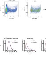 Dual Fluorescence Cytometry Assay to Assess Cellular Protein Levels