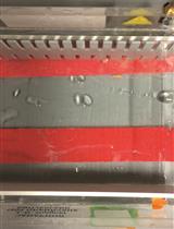 在利什曼原虫中利用DNase I和 Nuclease S1酶解进行病毒双链RNA鉴定