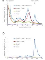 Split Nano Luciferase-based Assay to Measure Assembly of Japanese Encephalitis Virus