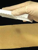 Colorimetric RhoB GTPase Activity Assay