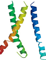 Protein Structure Analysis Method of SARS-COV-2 M Protein for Possible Clues Regarding Virion Stability, Longevity and Transmission 