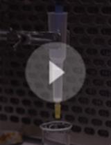 Purification of Protein-complexes from the Cyanobacterium <em>Synechocystis</em> sp. PCC 6803  Using FLAG-affinity Chromatography