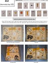 啮齿动物的环境丰容程序：创建提高研究一致性的多样化富集标准化协议