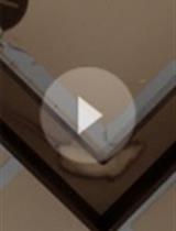 一种评价小鼠新目标识别的替代迷宫