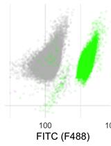 Live Cell Measurement of the Intracellular pH of Yeast by Flow Cytometry Using a Genetically-Encoded Fluorescent Reporter