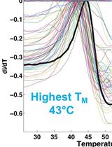 Identification of Buffer Conditions for Optimal Thermostability and Solubility of Herpesviral Protein UL37 Using the Thermofluor Assay