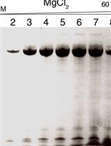 Preparation of Yeast tRNA Sample for NMR Spectroscopy
