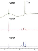 NMR waterLOGSY应用于药物开发项目中蛋白质-配体相互作用的检测