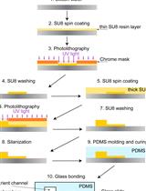 Observing Nutrient Gradients, Gene Expression and Growth Variation Using the "Yeast Machine" Microfluidic Device