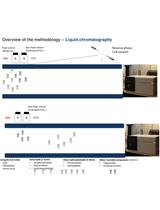 Isolation of Lipid Rafts from Cultured Mammalian Cells and Their Lipidomics Analysis