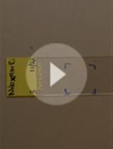 Preparation of <em>Drosophila</em> Polytene Chromosomes, Followed by Immunofluorescence Analysis of Chromatin Structure by Multi-fluorescence Correlations
