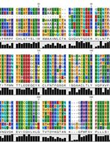 Generation and Testing of Fluorescent Adaptable Simple Theranostic (FAST) Proteins