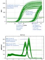 RNA Stability Measurements Using RT-qPCR in Arabidopsis Seedlings