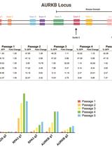 A CRISPR Competition Assay to Identify Cancer Genetic Dependencies