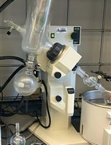 Preparation and Characterization of Ginger Lipid-derived Nanoparticles for Colon-targeted siRNA Delivery