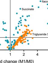 Metabolomic and Lipidomic Analysis of Bone Marrow Derived Macrophages