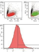 Expression and Purification of Functionally Active Serotonin 5-HT2A Receptor in Insect Cells Using Low-titer Viral Stock