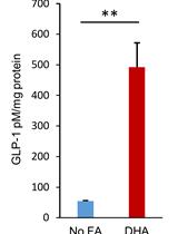 <em>In-vitro</em> GLP-1 Release Assay Using STC-1 Cells