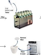 Determination of the Cellular Ion Concentration in <em>Saccharomyces cerevisiae</em> Using ICP-AES