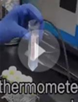 一种可重复性测定成年斑马鱼临界游泳速度的方法
