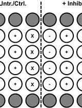 Flow-cytometric Detection of Low-level Reactive Oxygen Species in Cell Lines and Primary Immune Cells