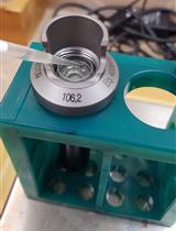 Fluorescent Polysome Profiling in Caenorhabditis elegans 