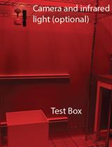 Identification of Socially-activated Neurons