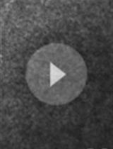 Optogenetic Tuning of Protein-protein Binding in Bilayers Using LOVTRAP