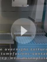 A High-throughput Interbacterial Competition Platform