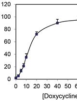 Quantification of the Surface Expression of G Protein-coupled Receptors Using Intact Live-cell Radioligand Binding Assays