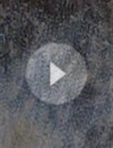 In vitro Differentiation of Human iPSC-derived Cardiovascular Progenitor Cells (iPSC-CVPCs)