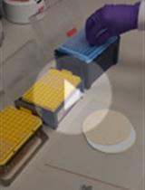 A Workflow for Ultra-rapid Analysis of Histone Post-translational Modifications with Direct-injection Mass Spectrometry