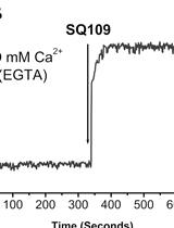 Determination of Intracellular Ca2+ Concentration in the Human Pathogens Trypanosomatids Leishmania mexicana and Trypanosoma cruzi by the Use of the Fluorescent Ca2+ Indicator Fura-2
