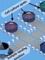 A Novel and Robust Single-cell Trapping Method on Digital Microfluidics