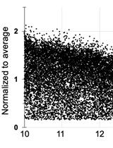 Preparing Viable Hippocampal Slices from Adult Mice for the Study of Sharp Wave-ripples